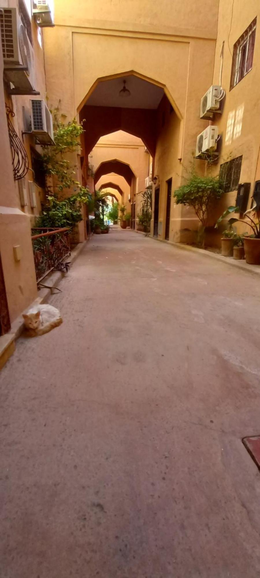 Al-bushra